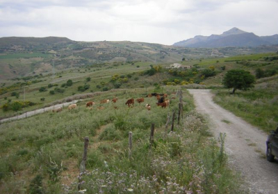 Agriturismo Case Tabarani